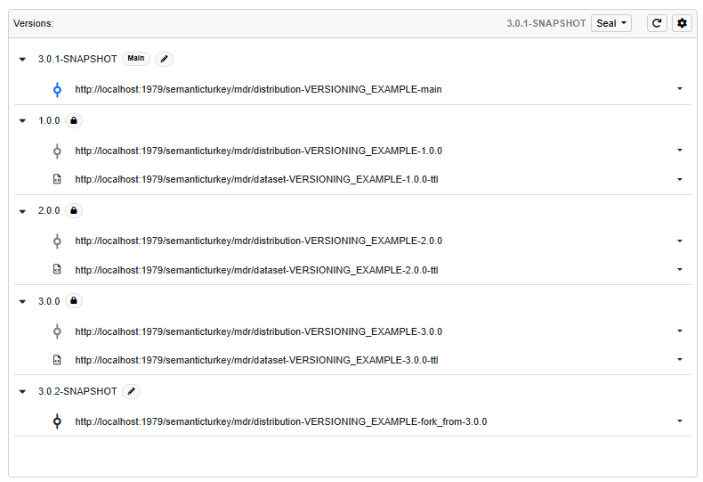 Versioning main view